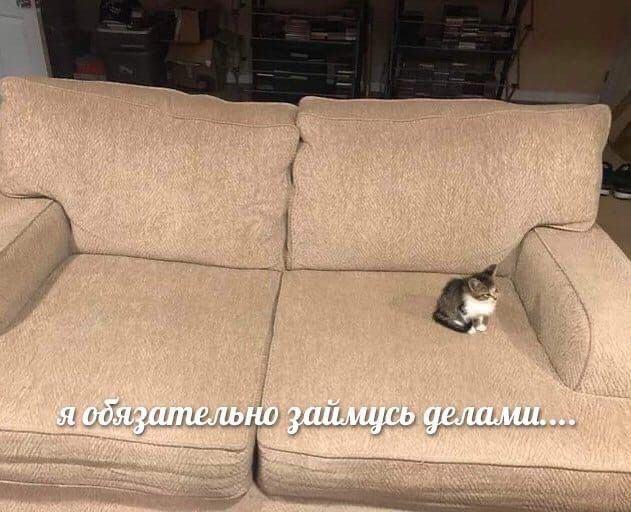 Я обязательно займусь делами