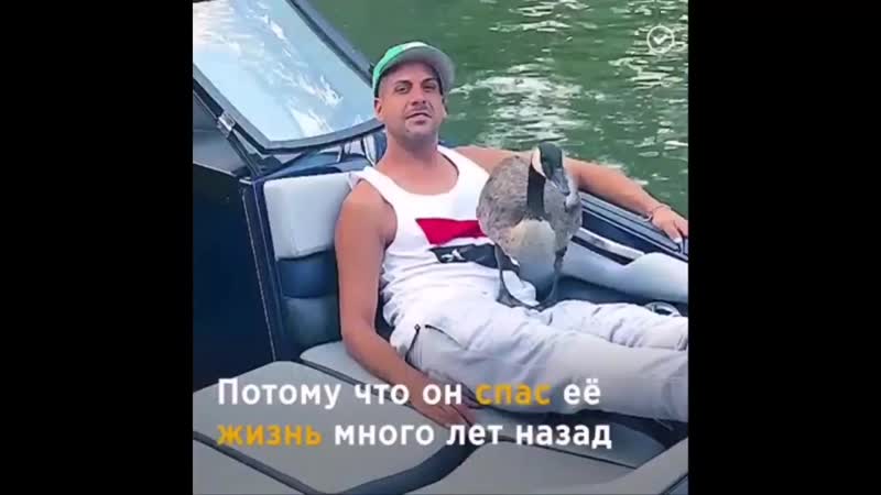 MOVIE.mp4
