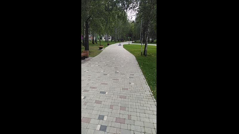 VID_20190828_180422.mp4