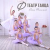 Театр танца Ольги Фоминой