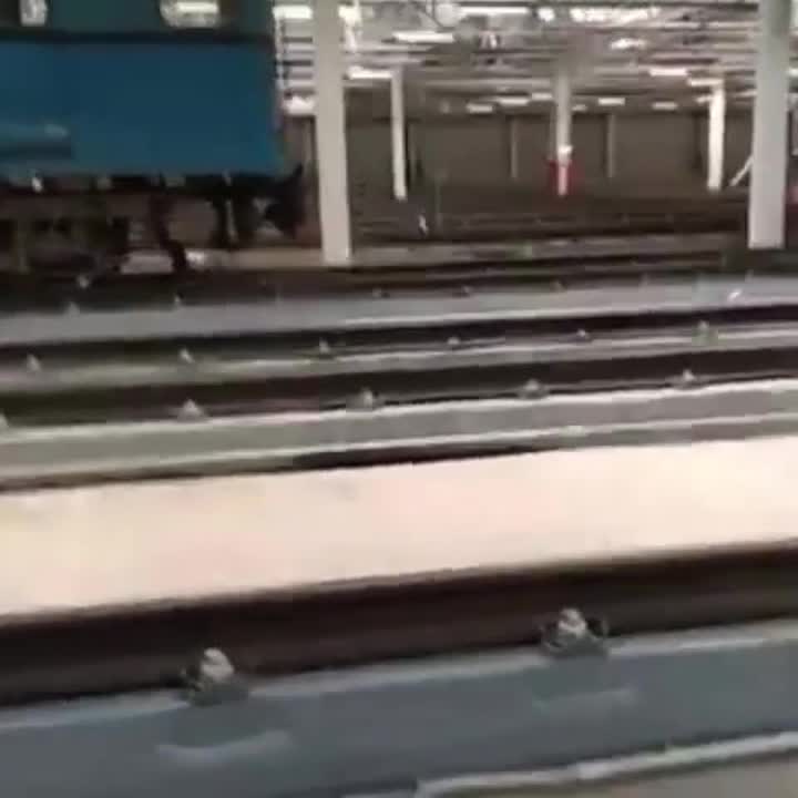 Это картинка