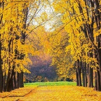 Олеся Гурова