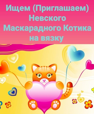 Котенок с сердечками