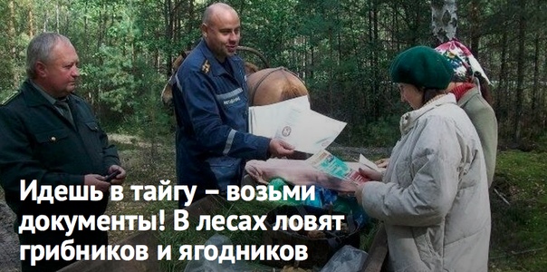 В Алданском районе Якутии задержан опасный нарушитель, который без разрешительных документов собрал 2 ведра голубики (около 16 литров ягод чем нанес ущерб государству в размере 13 тысяч 860