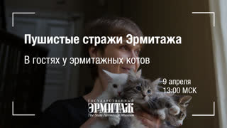 Премьера: Пушистые стражи Эрмитажа. В гостях у эрмитажных котов
